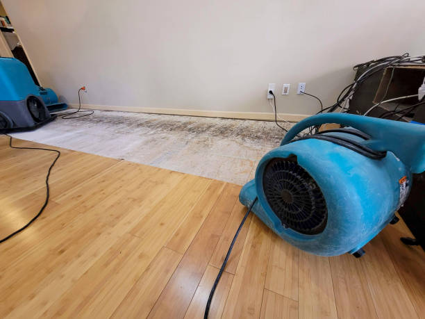 Professional Structural Drying technician working in Vina, AL